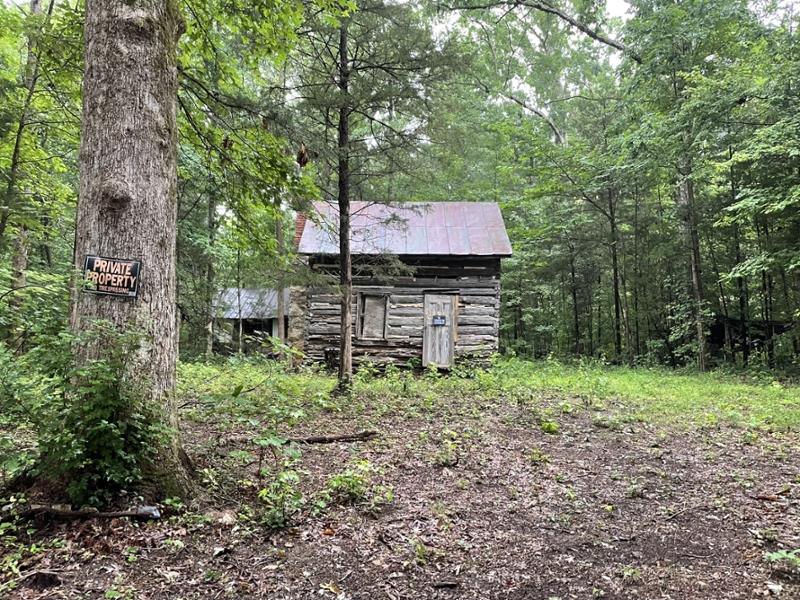 Parker-Sydnor Cabin
