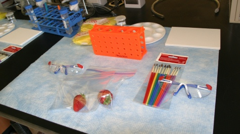 Lab bench prepped for Open Lab