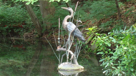 Great Blue Heron with Marsh Wren and Turtle