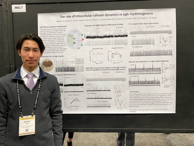 A Charles Center Research in Motion grant allowed neuroscience major Jeffrey Gu ’25 to present his research on mechanisms for breathing control at the Society for Neuroscience conference in Washington, D.C. (courtesy photo) 