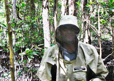Sampling takes place in full mosquito gear in the mangroves.