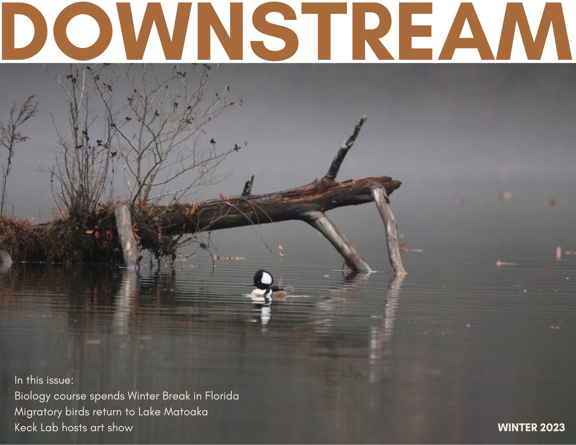 downstream-winter-2023-image.png