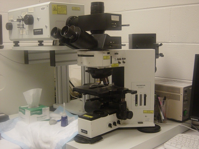 Olympus Laser Scanning Confocal Microscope