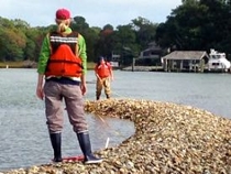 VIMS Ph.D. student Ann Arfken (foreground) measures an emergent oyster reef in the Lynnhaven River. (Photo by B.K. Song/VIMS)