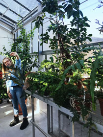 Elli Cryan '18 leads a tour of the ISC Greenhouse. (Photo by Kristen Popham '20)