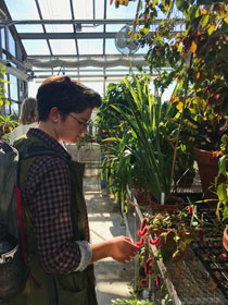 Kat Mail '17 explores the greenhouse. (Photo by Kristen Popham '20)