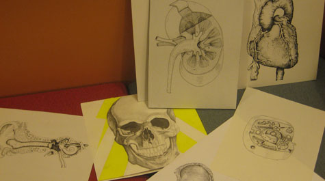 Illustrating anatomy