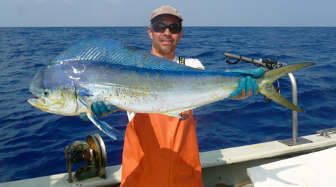 Dolphinfish: 