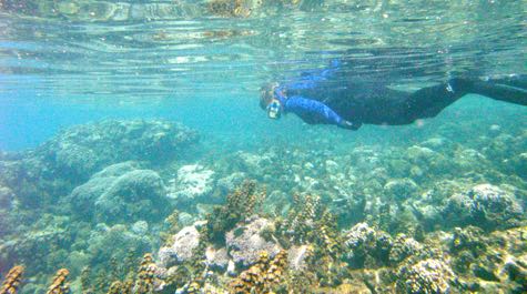 Coral-reef research: