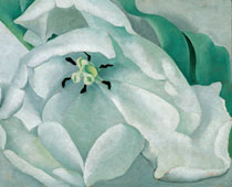 "White Flower" by Georgia O'Keeffe (Photo courtesy of Muscarelle Museum of Art)