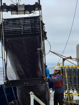 VIMS professor Deb Steinberg works with crew members aboard the RV Revelle to deploy the MOCNESS plankton net. The net allows scientists to collect zooplankton from discrete depth intervals. (Photo by Jason Graff)