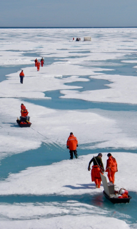A science team traverses Arctic sea ice during a previous research cruise. (Photo by E. Shadwick/VIMS)