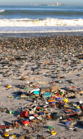 Beaches worldwide are now home to a bewildering array of plastic debris.