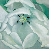 "White Flower" by Georgia O'Keefe is part of the Virtual Muscarelle exhibition "Women with Vision: Masterworks from the Permanent Collection." (Photo courtesy of Muscarelle Museum of Art)