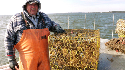 A waterman stands next to a crab pot on a boat