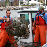 A researcher handles a derelict crab pot on a boat in the York River