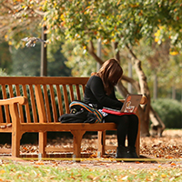 A student sits on a bench surrounded by fall foliage 