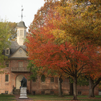 A tree with orange and yellow leaves stands in front of a portion of the Wren Building