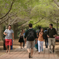 Students walk down a path on campus
