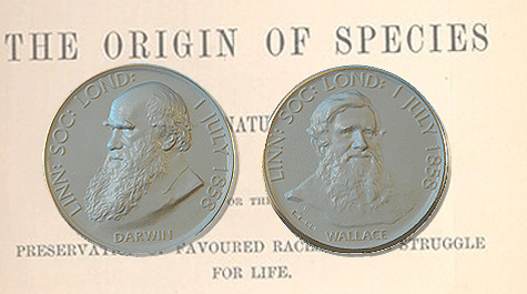 Two sides of the Darwin-Wallace Medal