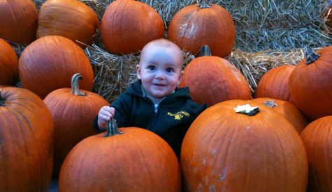A little Tribe in the pumpkin patch