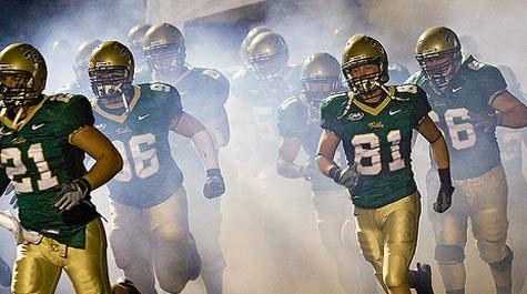 The Tribe