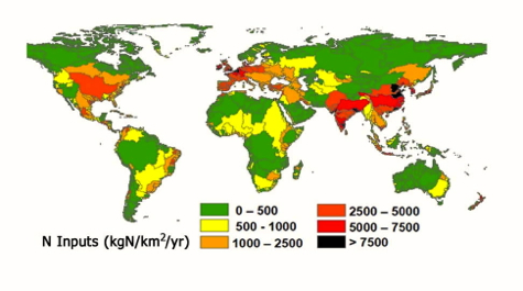 Global Nitrogen Inputs