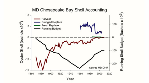 Shell accounting