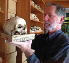 Mann examines skulls at the Magyar Termeszettudomanyi Museum in Budapest, Hungary in 2012. (photo courtesy of Robert Mann '81)