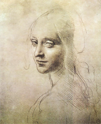 ''Head of a Young Woman'' (study for the angel in the ''Virgin of the Rocks'') 