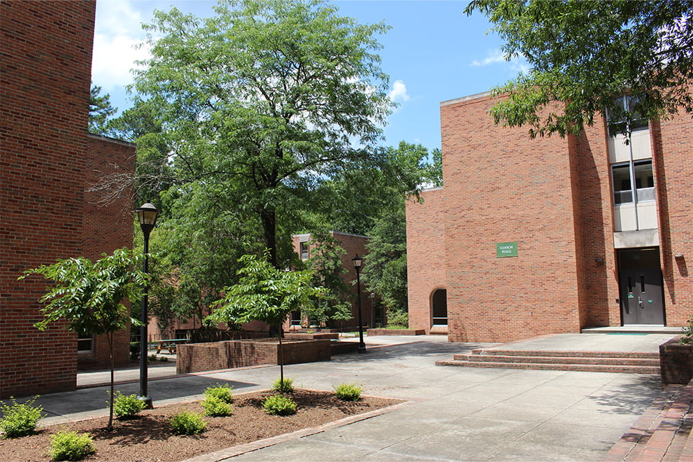Paved walking areas surrounded by greenery and brick dorm buildings.