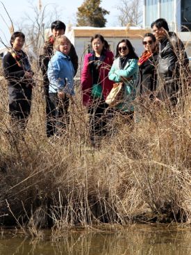 Marine Science Karen Duhring (third from left) and graduate student Zhou Liu (second from left) discuss the use of floating wetlands during the tour of the VIMS Teaching Marsh.