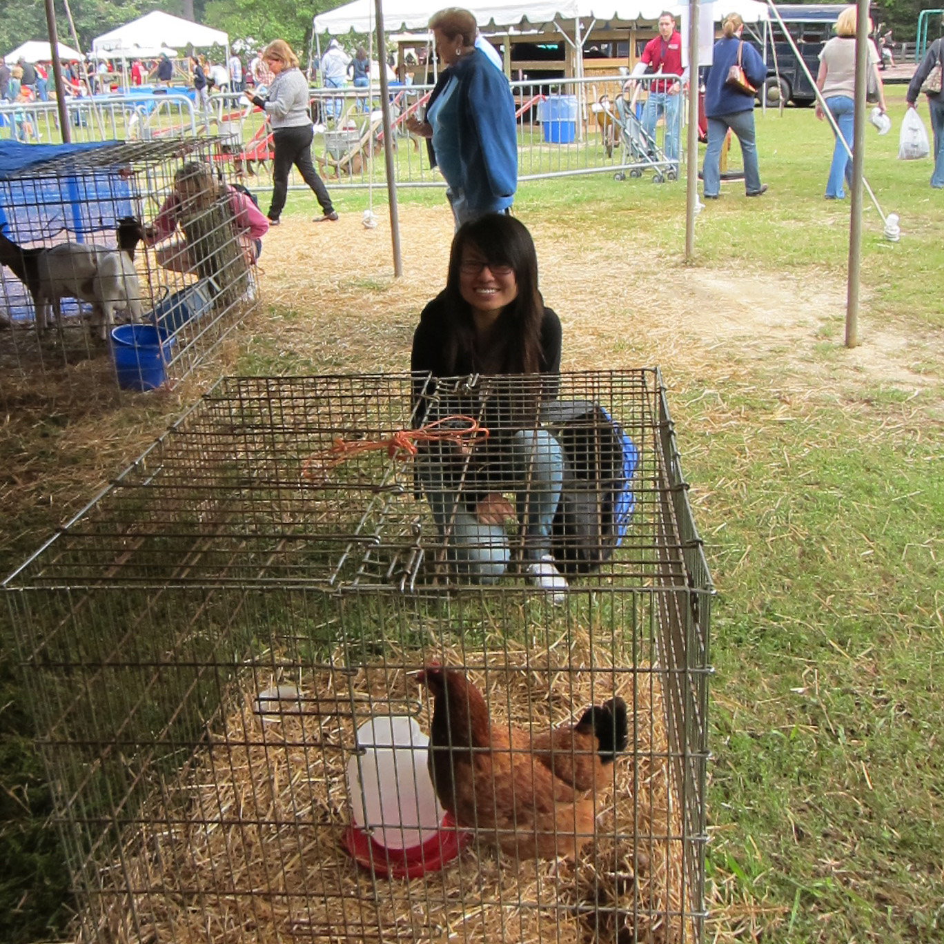 Seeing some chickens at the state fair