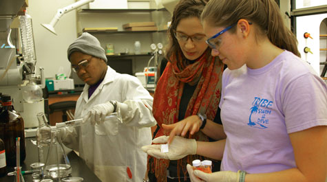 Undergrads in the Lab