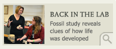 Back in the lab: Fossil study reveals clues of how life was developed