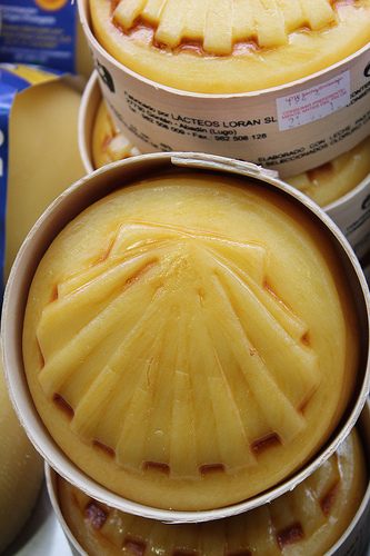 shell butter