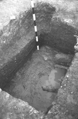 One of four privy features at Site 44PY178, Feature 1 extended to bedrock (about 2 feet below the topsoil). Along the left side are traces of the wood planks that lined the pit. The soil in the pit contained more than a thousand artifacts, probably dumped when the privy was abandoned some time after 1932.