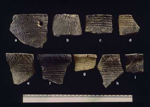 Sample of ceramics from the Potomac Creek Site (a - Late Woodland micaceous sand-tempered, cord-marked, cord- wrapped-dowel-impressed, horizontal motif; b - Potomac Creek cord-wrapped-dowel-impressed, diagonals top right; c - Late Woodland micaceous sand-tempered, cord-marked, cord-impressed, horizontal motif; d - Potomac Creek cord-impressed, horizontal motif; e - Potomac Creek cord-impressed, complex design; f - Potomac Creek cord-wrapped-dowel-impressed, complex design; g - Potomac Creek cord-wrapped-dowel-impressed, simple design; h - Potomac Creek cord-wrapped-dowel-impressed, punctate, complex combination; i - Potomac Creek Plain, incised) 