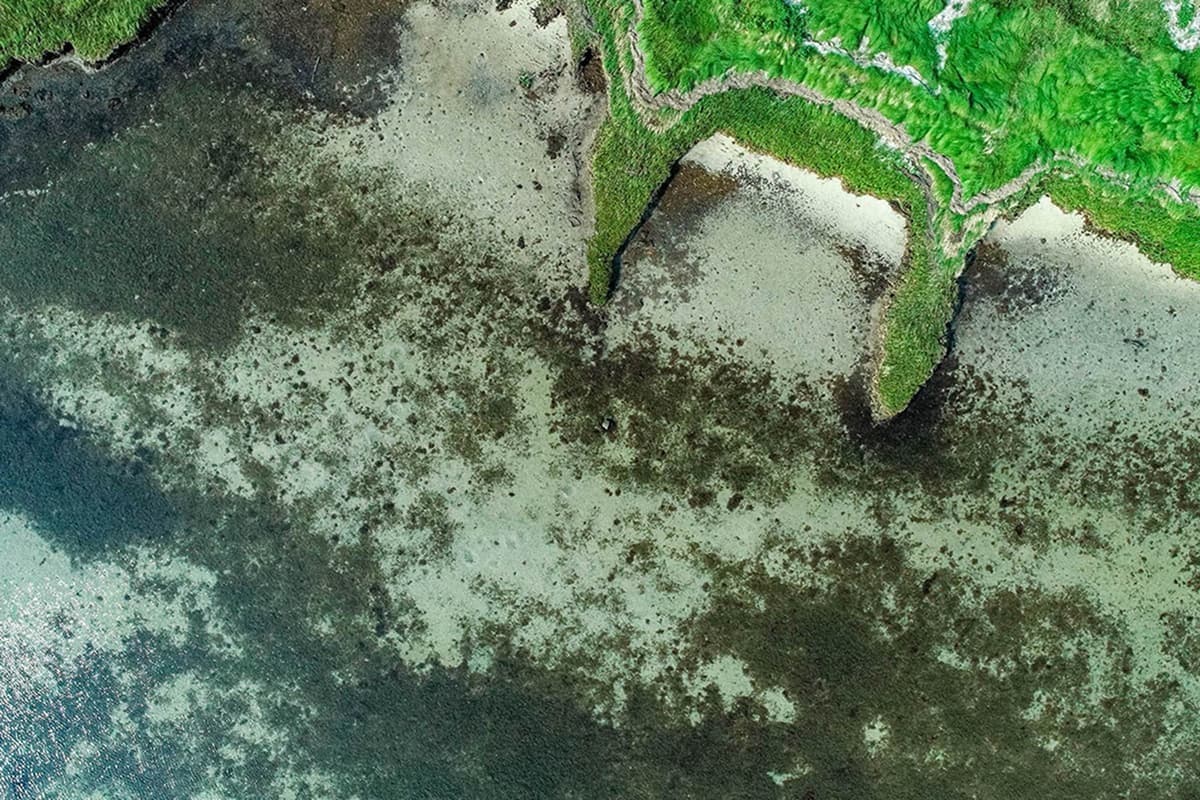 An aerial view of a coastline