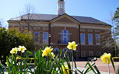 Miller Hall with daffodils blooming in the foreground 