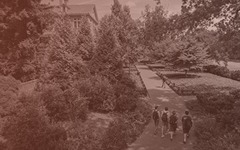 Three students talking on campus