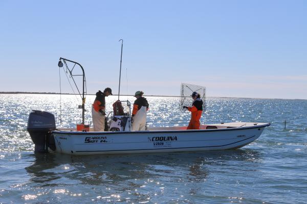 Batten School & VIMS