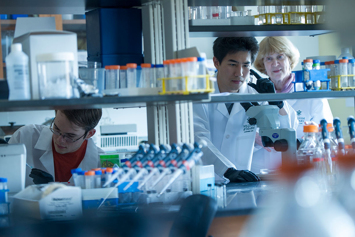 Two students in lab coats doing research in a lab under the guidance of a faculty member