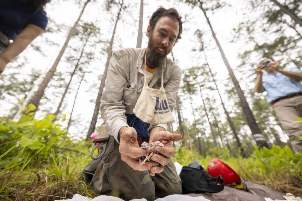 man holding baby birds in the forest