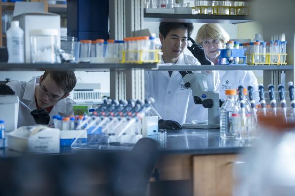 student examining test tube in a lab with faculty and peer beside him