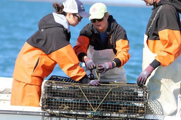 students in boat pulling out scalp sea grass from cage