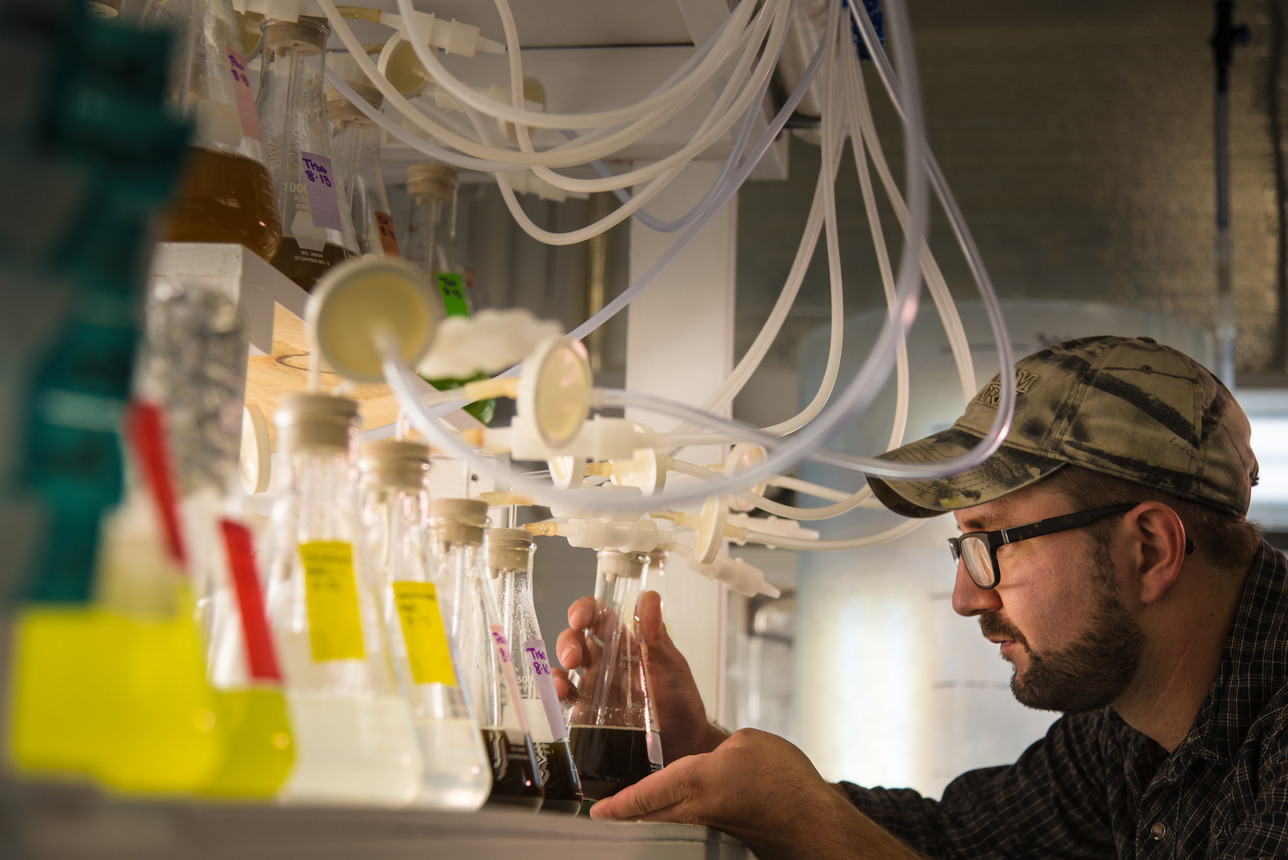 man examining flasks in a lab