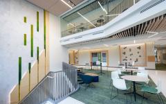 modern building with green carpet