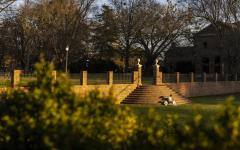 Student sitting on brick staircase leading to grassy field at sunset