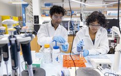 Two researchers in lab coats and gloves work with pipettes at a lab bench.